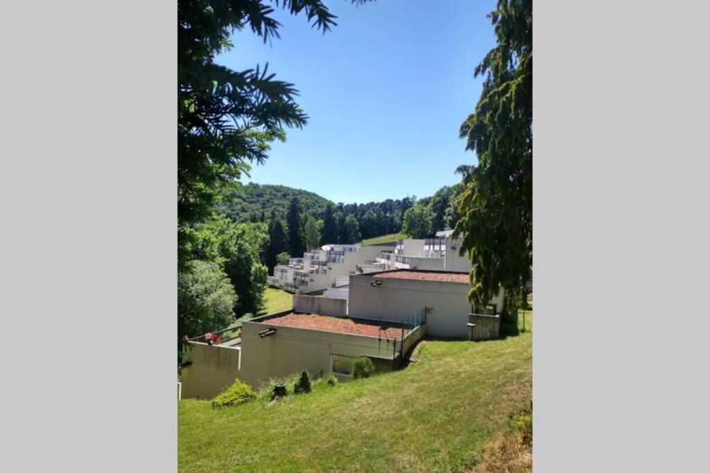 Apartment Au Coeur Des Volcans D Auvergne -
