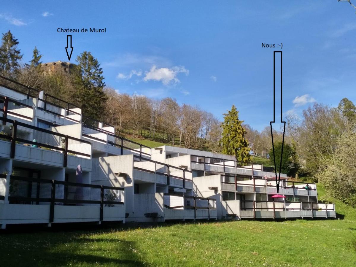 Apartment Au Coeur Des Volcans D Auvergne - *